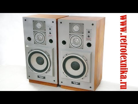 Обзор колонки Электроника 100АС-063 СССР 1989 г.