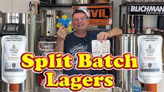 Brewing a Pale Lager split batch on the Anvil Foundry to compare two White Labs Yeasts!