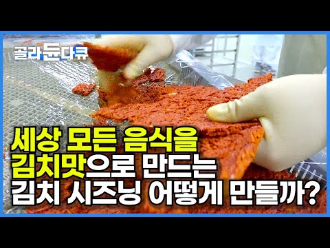 그냥 김치 공장이 아닙니다! 김치를 가루로 만들어 세계로 수출하는 공장│외국인 입맛 사로잡은 한국의 김치 분말│김치 시즈닝│극한직업│#골라듄다큐