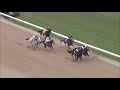 Monday, Jan. 18 - $150,000 2016 Smarty Jones