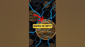 Loop Quantum Gravity: Brilliant, Beautiful, Empty? 🤷🏻 w/ Michio Kaku @bigthink