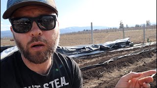 Find Out How Much Land You REALLY Need to Grow Your Own Produce!
