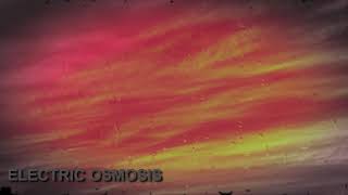whilefalse - Petrichor