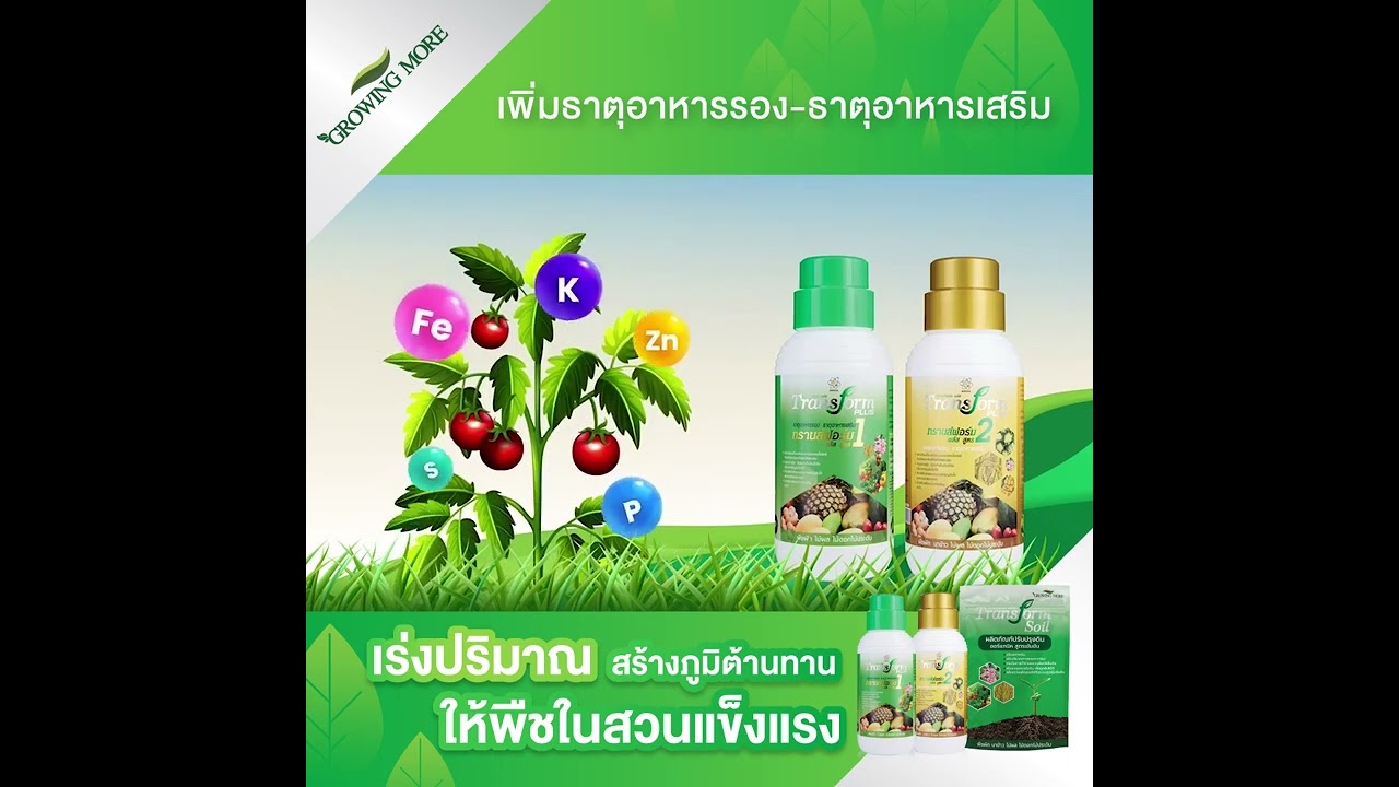 Transform Plus ทวีผลผลิต X2
