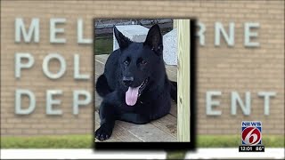 Officer charged in K-9's hot car death