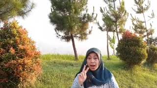Cover Bahasa Isyarat Sibi Bisindo Manusia Kuat  Tulus