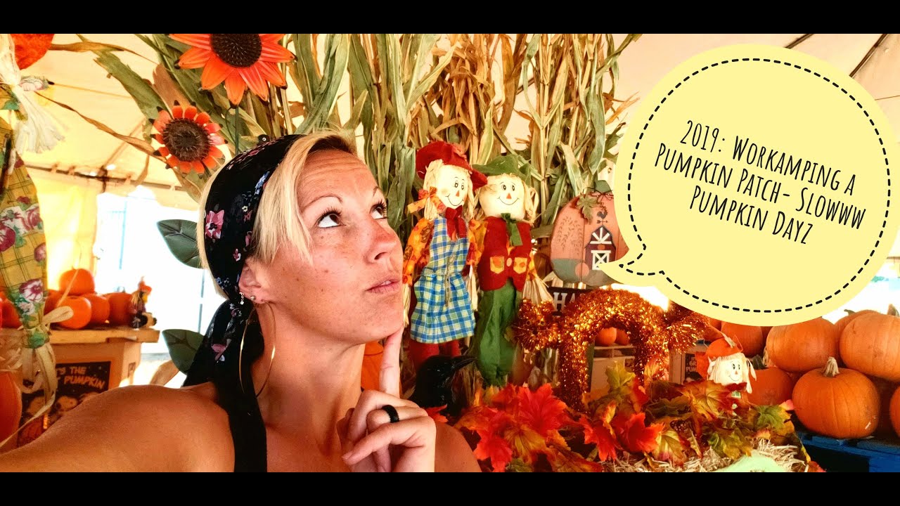 2019 Workamping Pumpkin Patch Slow Pumpkin Dayz🎃 YouTube