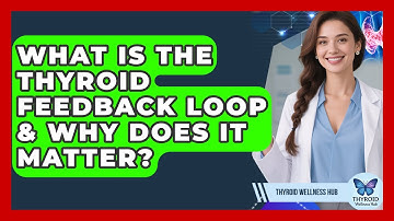 What Is The Thyroid Feedback Loop & Why Does It Matter? - Thyroid Wellness Hub