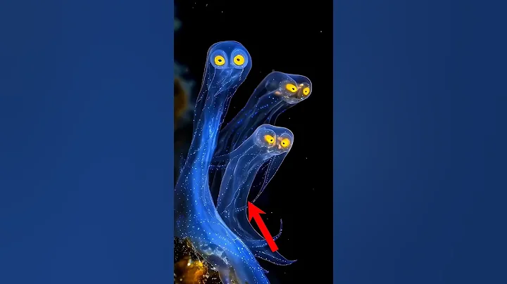 Top 3 Animals That Can Turn Invisible 😱 | You Won’t Believe #1 thumbnail
