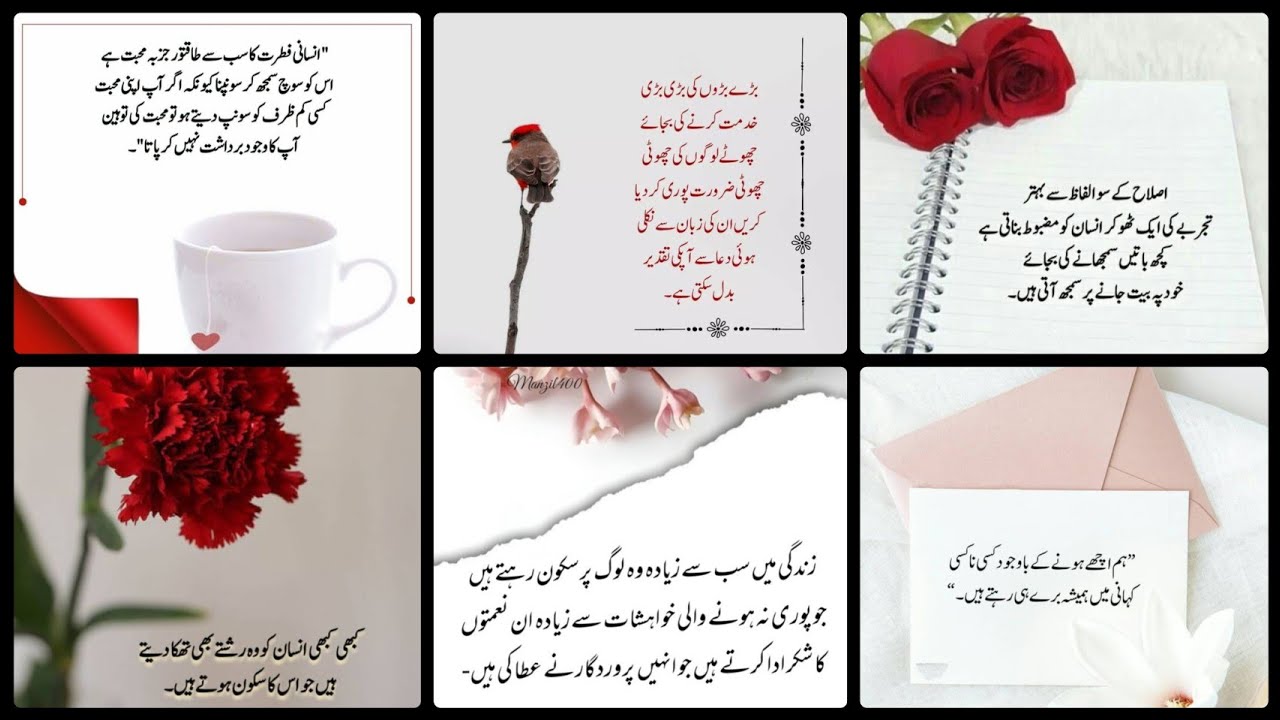 Motivational Islamic Quotes | Quotes About life | Best Urdu Quotes | Rumi Quotes |