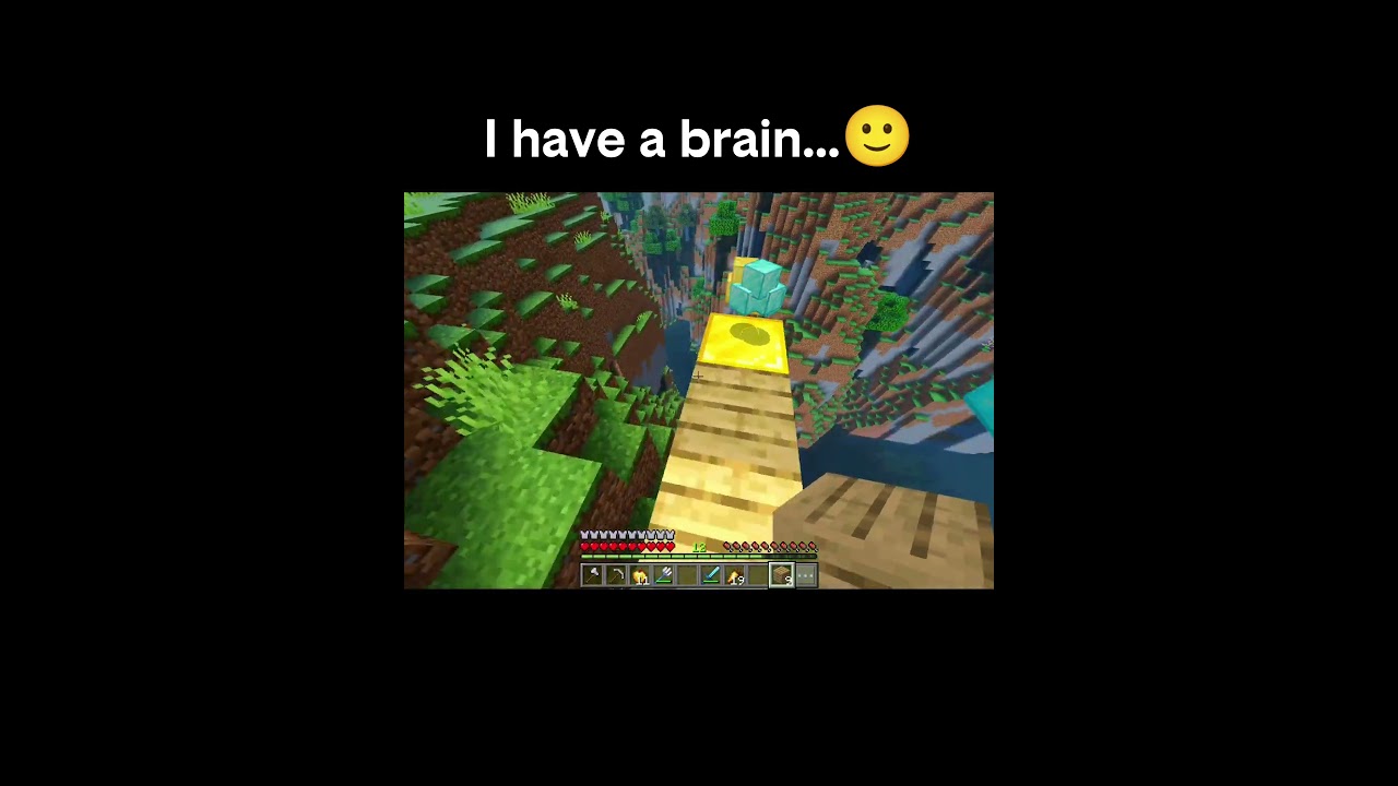 Minecraft 0iq moments...🫩