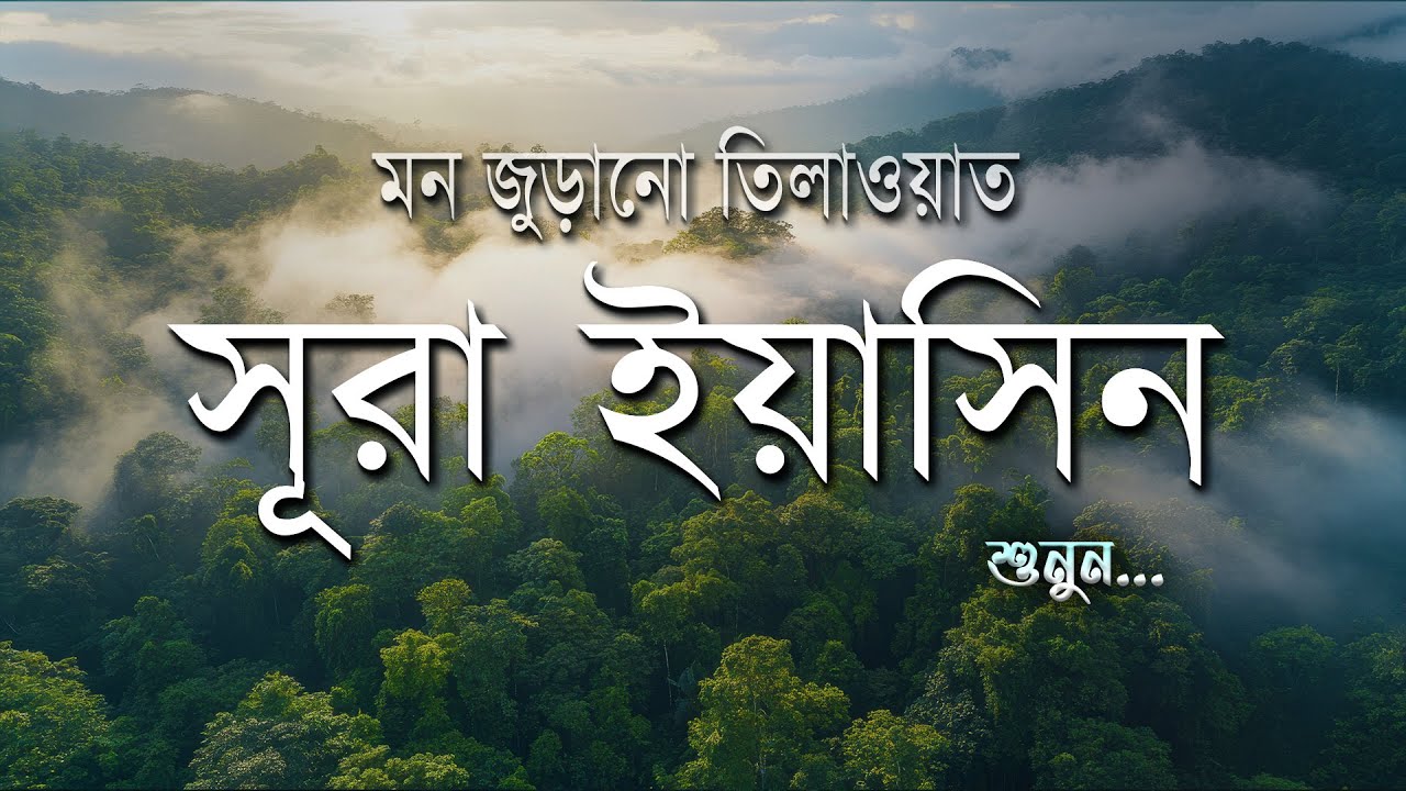 হৃদয়ের শান্তির জন্য সূরা ইয়াসীন | Surah Yaseen Tilawat by Ismail An Nouri