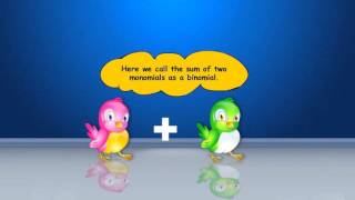 Polynomials– Part 1