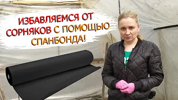 Избавьтесь от сорняков в теплице раз и навсегда. Спанбонд как лучшее средство от сорняков