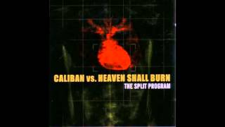 Caliban-A summerdream(The Split Progam)