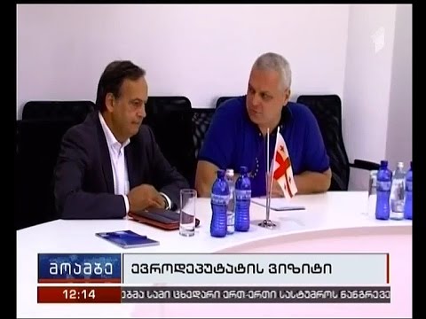 ევროპარლამენტის სოციალისტებისა და დემოკრატების ჯგუფის ვიცეპრეზიდენტის ვიზიტი საქართველოში