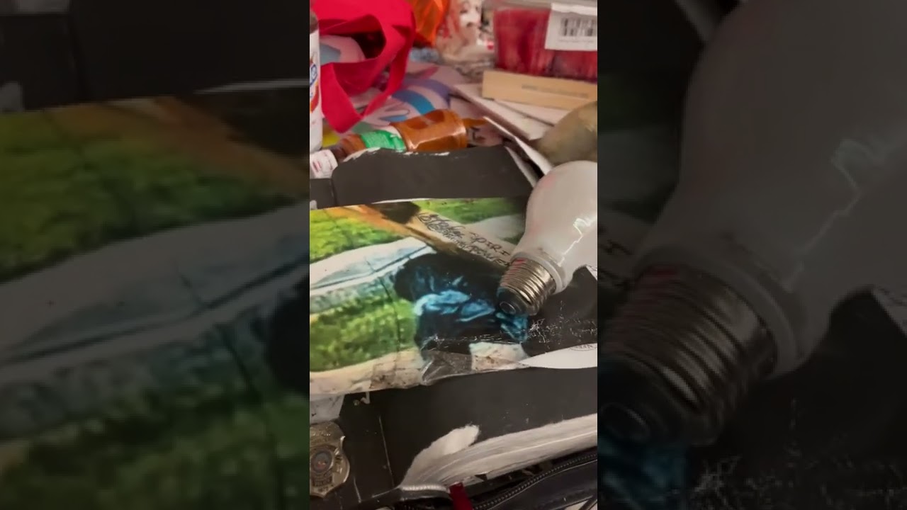 HOLLYWOOD SHINING MOVIE STAR QUEEN PIMP COLORED MAFIA GANGSTA HOLY SPIRIT LEGAL SONYMUSIC.COM BET+