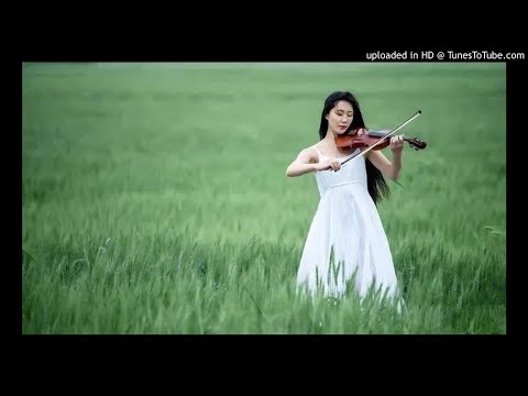 《既然不愛就放手》雨中百合