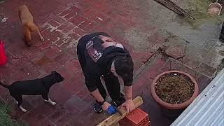 Man Slips on Wet Wood and Crashes Into Flower Pots