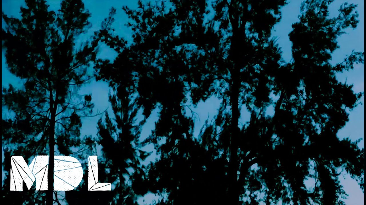 MDL @ Open Oscillator 23: San Diego, USA (July 11th, 2018) [Ourcq] 