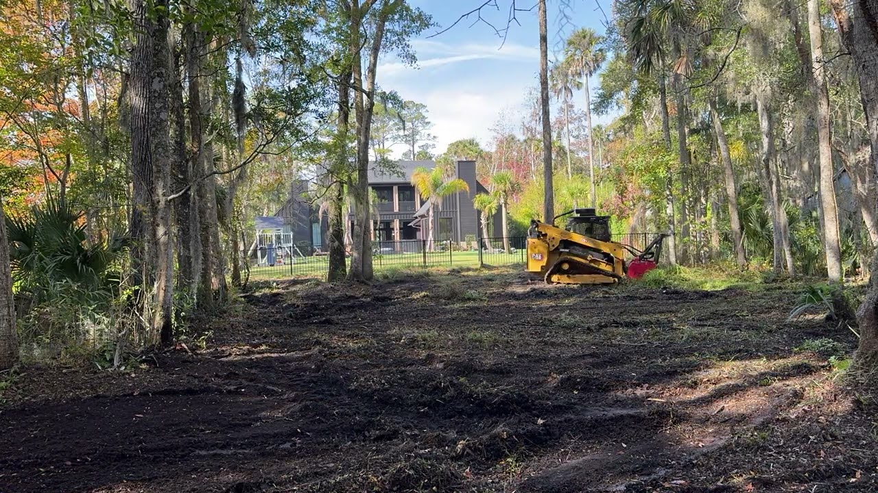 Time Lapse of a Backyard Clean Up 