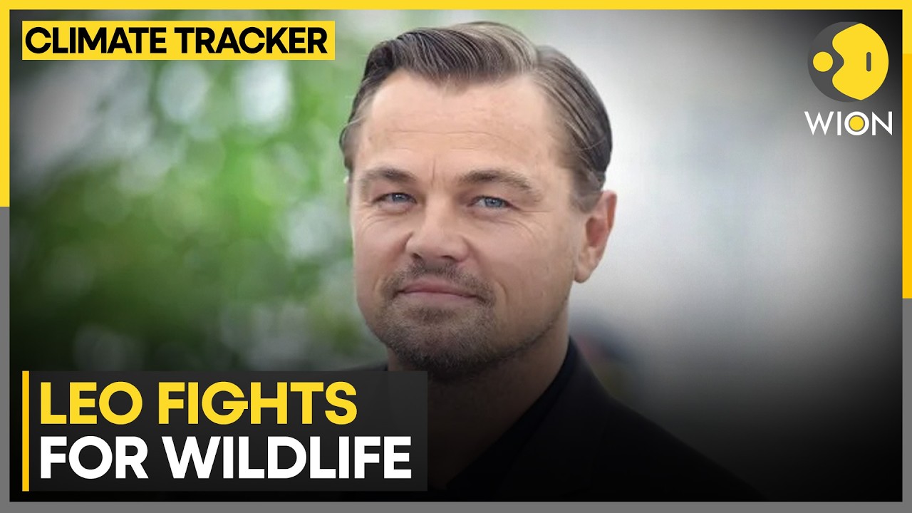 Leonardo DiCaprio Defends Nature | WION Climate Tracker