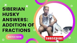 SIBERIAN #HUSKY ANSWERS: #ADDITION OF #FRACTIONS| Wakyrie Abs #siberianhusky #husky #fraction by Wakyrie Abs 94 views 1 year ago 9 minutes, 32 seconds