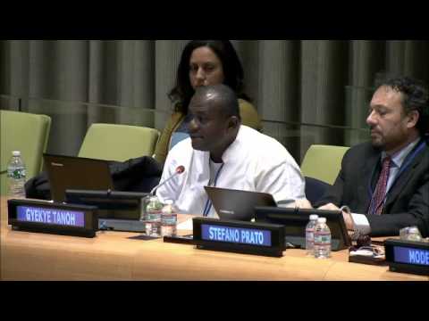 Mr Gyekye Tanoh  Third World Network Africa   UN Financing for Development Hearing