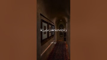 تلاوة خاشعة بصوت ماهر المعيقلي ارح سمعك #ماهر_المعيقلي