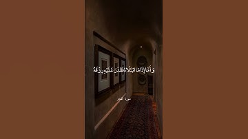 تلاوة خاشعة بصوت ماهر المعيقلي ارح سمعك #ماهر_المعيقلي
