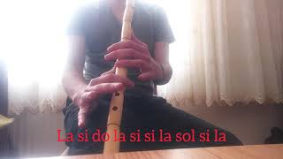 Taleal Bedru-Aydoğdu Üzerimize Notalı Ney Kolay Anlatım (Ney Cover)