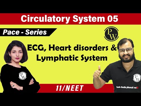 Circulatory System 05 | ECG | Heart Disorders | Lymphatic System | Class 11 | NEET | PACE SERIES
