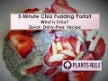 5 minute chia pudding parfait quick healthy vegan recipe from plantsrule