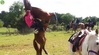 Le Cheval À La John Sina Resimi