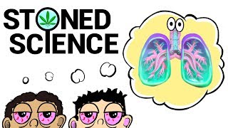 Two Stoned Comedians Explain The Respiratory System | Stoned Science