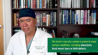 Dr. van Loveren talks about neuroendovascular in a USF Health Minute