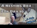 THROW OUT YOUR NESTING BOX