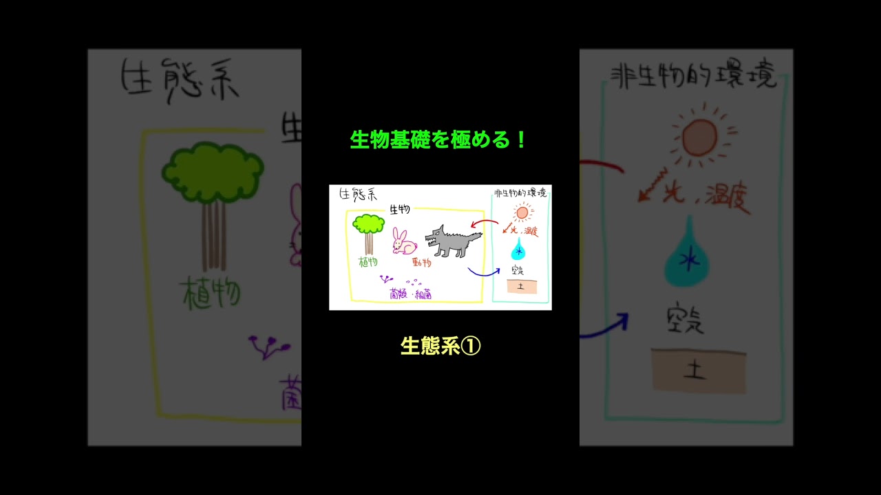 92生態系1 #生物基礎