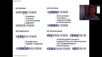 AP Biology 15.4 Alterations in Chromosome Number or Structure