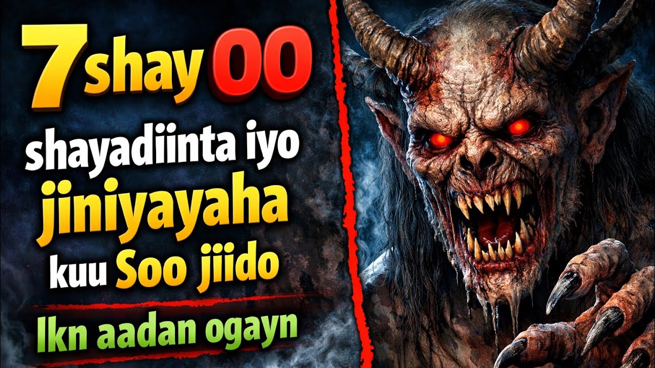 7 shay hasamayn maanta laga bilaabo||@misbaax podcast||