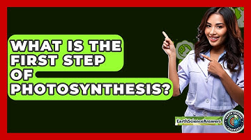 What Is The First Step Of Photosynthesis? - Earth Science Answers