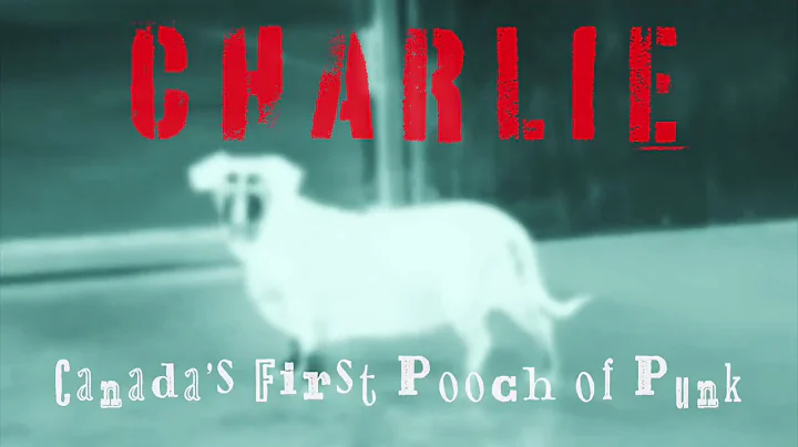 Charlie: Canada's First Pooch of Punk