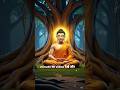 🪷 जब कोई आपके साथ बुरा व्यवहार करे – सुनिए Gautama Buddha की यह अमूल्य सीख #gautambudhastory #viral