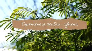 Experiencia dentro - afuera