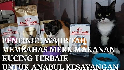 Watch the video about Makanan Kucing Royal Canin. Review Jujur Kelebihan Dan kekurangan Royal Canin.