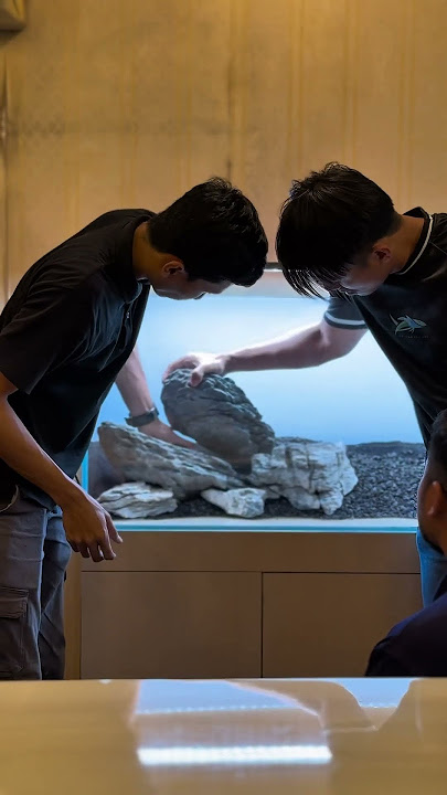 On-site Brazilian style aqauscape setup #aquariumdesign #aquascapemalaysia #aquascapegallery