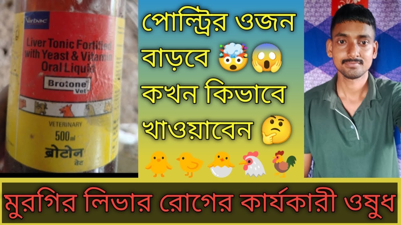 মুরগির লিভার রোগের কার্যকারী ওষুধ/ poultry liver tonic/ murgi liver ...