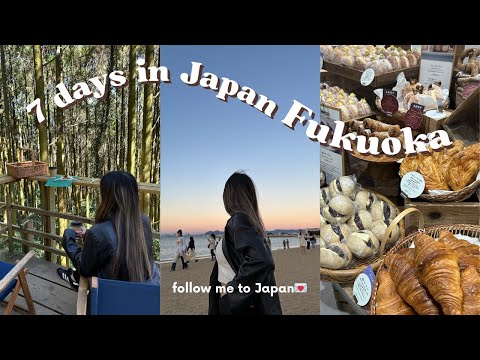 Follow Me To Japan Fukuoka Vlog, Itoshima Island, Forest Cafe, Japanese Bakery, Japanese Food