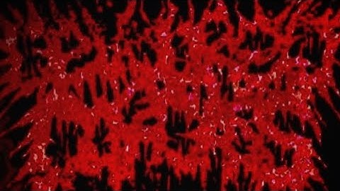 Failed Autopsy public Demo 2 (Unofficial Video)