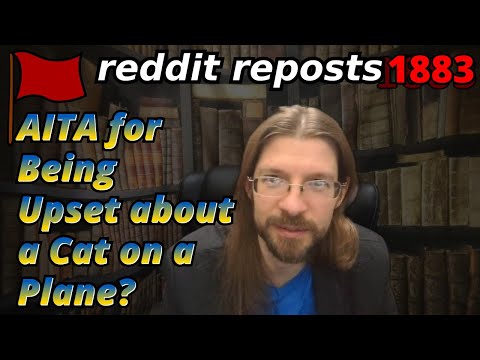 AITA for Being Upset about a Cat on a Plane? | 3 Stories | Tales Tea Trouble 1883